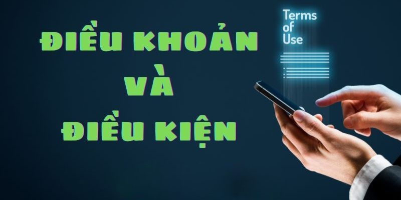 Một vài lý do mà bạn cần hiểu về điều khoản điều kiện